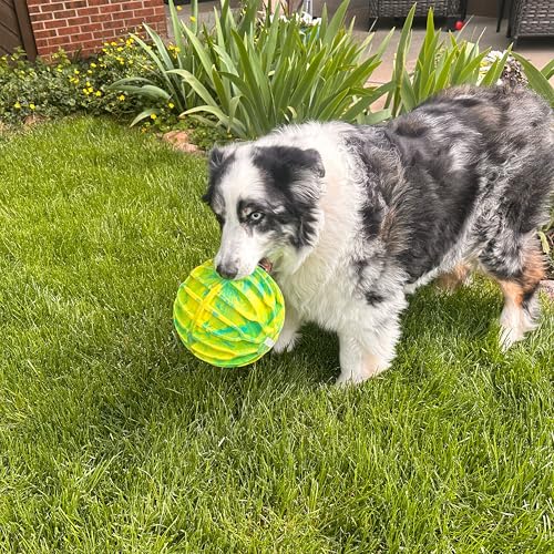 FlexBall Interactive Fetch Toy (Extra Large (Ball))