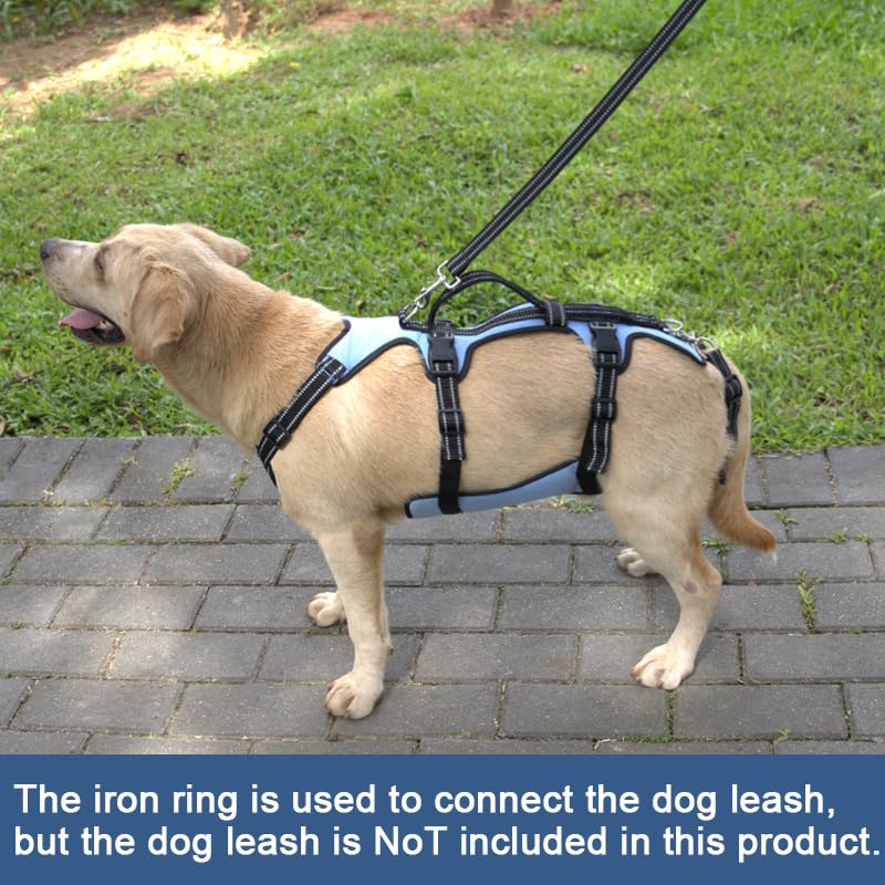 Dog Lift Harness (L / Blue)