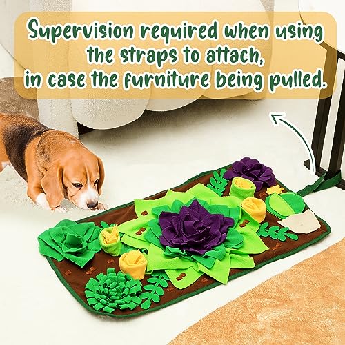 Snuffle Mat for Small & Medium Dogs and Cats (30.7"L x 15.7"W)