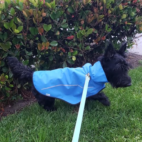 Dog Raincoat Adjustable Waterproof Reflective Rain Jacket for Small Medium Large Dogs (XXS Chest 16"-19" / Blue)