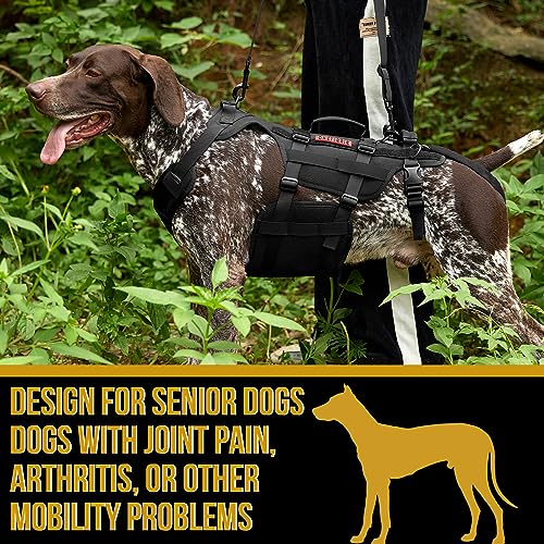 Dog Lift Harness for Large Dogs (Black / S)
