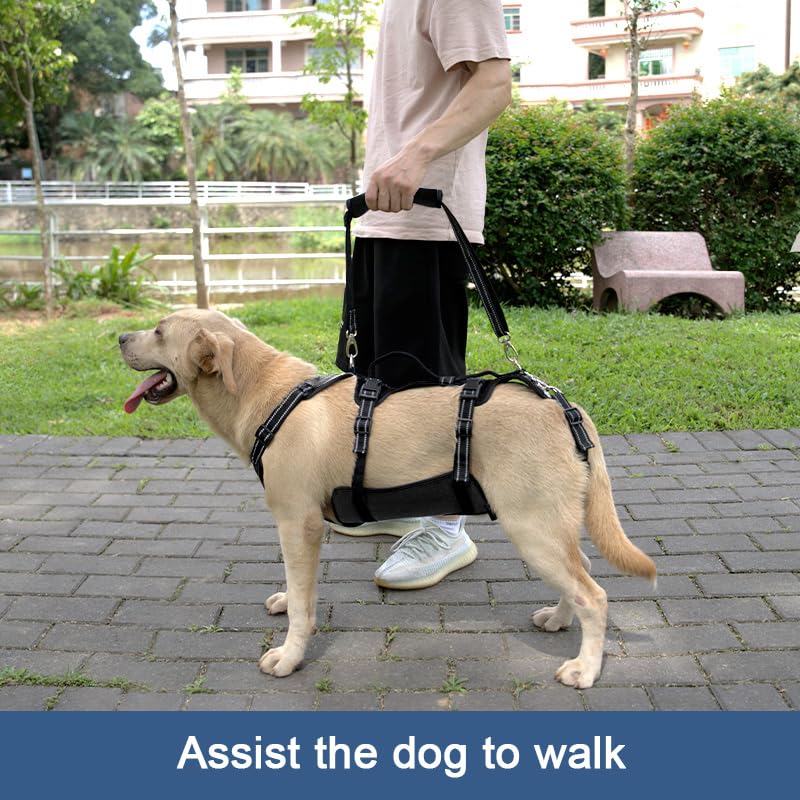 Dog Lift Harness (L / Black)