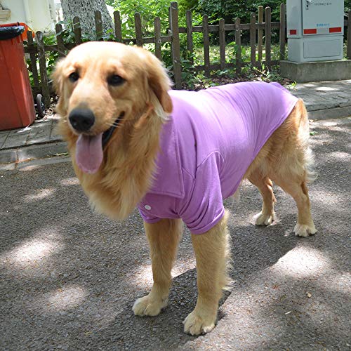 Basic Dog Polo Shirts Premium Cotton (XXXL (-75lbs) / Violet)