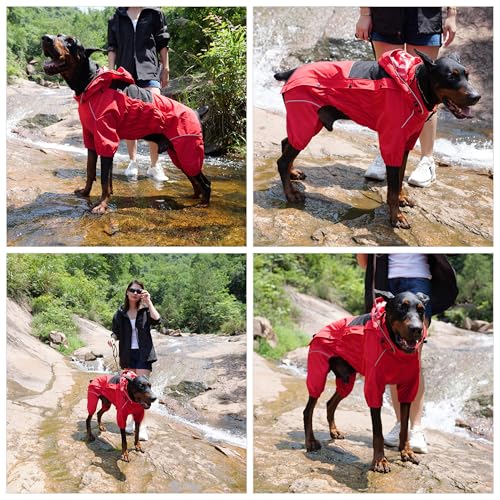 Fleece Lined Dog Raincoat with Removable Hood (Red-Fleeced / M (Back 14"))