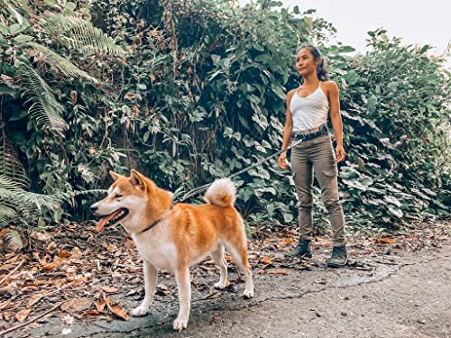 Hands Free Bungee Dog Leash - PetSolution