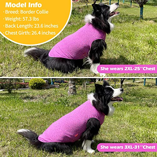 2Pack Dog Shirt for Medium Dogs Sun Protection Tank Top for Summer (XX-Large (40-55lbs) / 2# 2Pack (Purple+Pink))