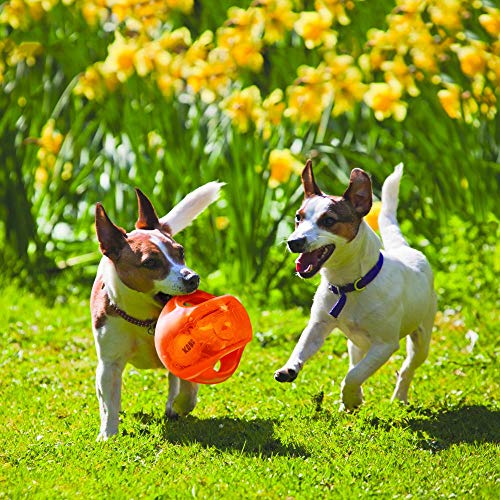 Jumbler Ball Interactive Fetch Toy (Large)