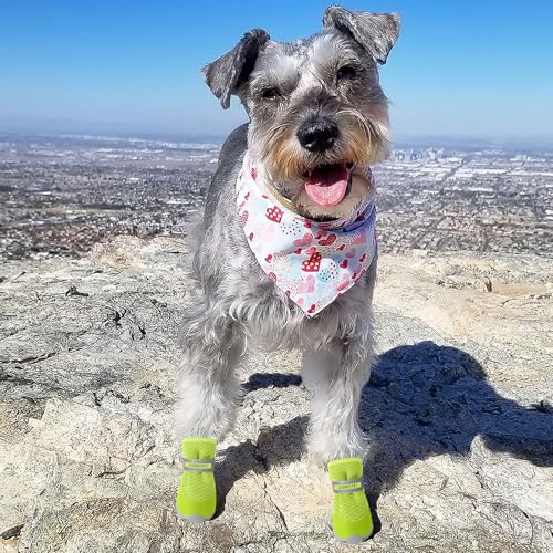Dog Shoes for Small Dogs Hot Pavement Puppy Dog Boots & Paw Protectors (Fluorescent / size 2: 1.59"x1.18"(L*W))