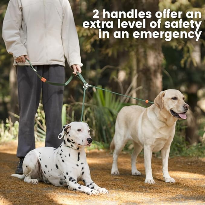 Slip Lead Leash 2 Dogs (MintGreen / w/o Handle)