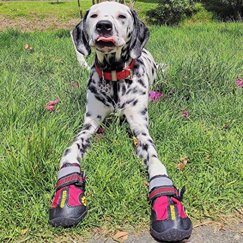Dog Shoes for Hot Pavement (Size 4: 2.2''x2.6''(W*L) (Pack of 4))