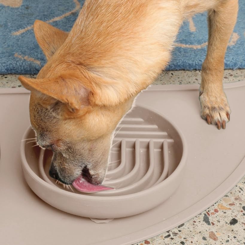 Slow Feeder Dog Bowl (Tan - Rainbow Design / Small (6” Across x 1.25” Tall))