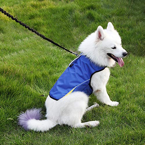 Dog Anxiety Jacket (Blue / XL (Pack of 1))