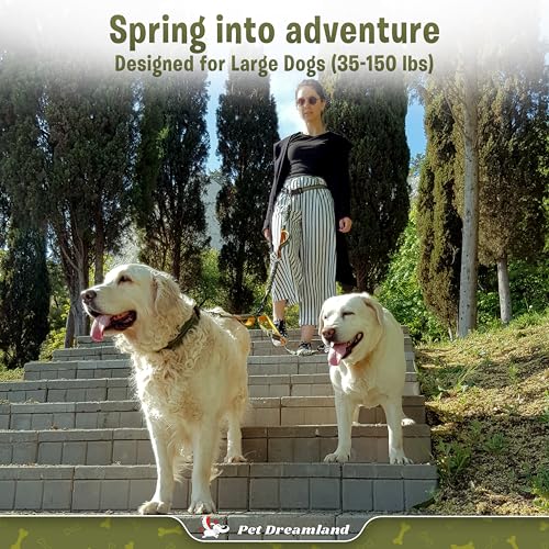 Exquisite Hands Free Double Dog Leash for Two Dogs with Tangle (Khaki & Orange)