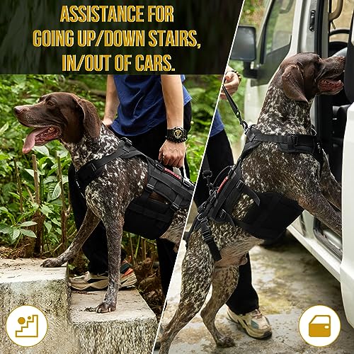 Dog Lift Harness for Large Dogs (Black / S)