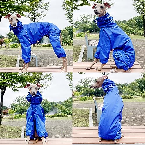 D Doggy Star Italian Greyhound Raincoat Waterproof Jacket Windbreaker Clothes Whippet for Dog (XL / Raincoat Blue)