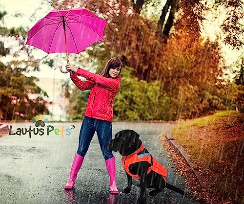 Waterproof Dog Rain Coat (Orange / Large)