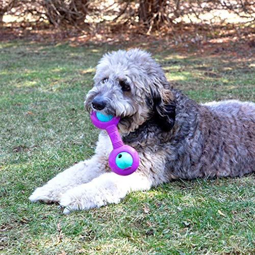 Premium Throw Stick Dog Toy (Throw Stick with 2 Balls)