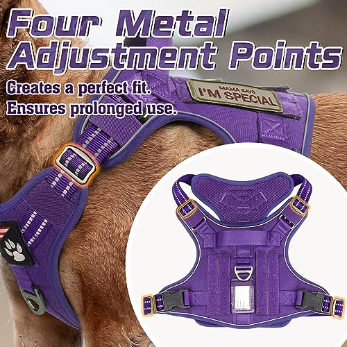 Tactical Dog Harness for Small (Purple / Small)