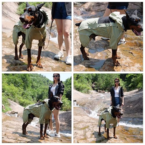 Waterproof Dog Raincoat with Removable Hood (Sage Green / XXS (Back 9"))