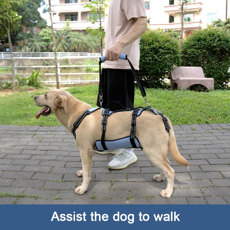 Dog Lift Harness (L / Blue)
