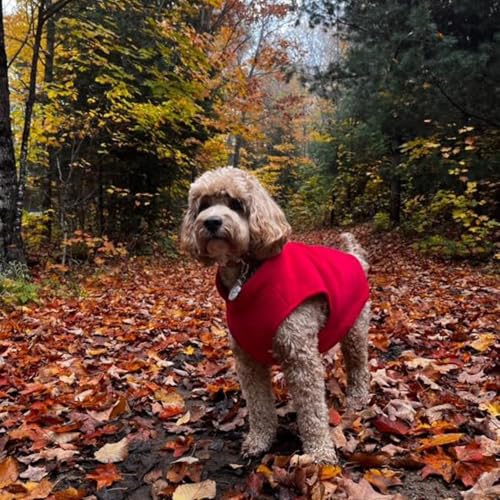 Dog Fleece Vest Sweater with Leash Ring (XXL (25-35lbs) / Red)