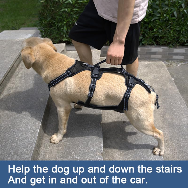 Dog Lift Harness (L / Black)