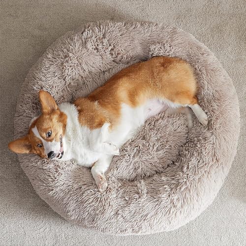 Large Round Calming Dog Bed Cat Bed for Comfy Sleep (36"L x 36"W x 10"Th / Brown)