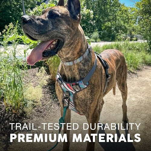 Embark No Pull Dog Harness (S / Maverick)