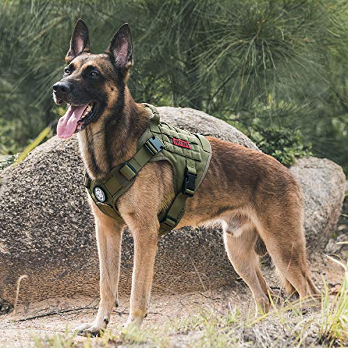 Tactical Dog Harness with Handle No (XX-Small / Green)