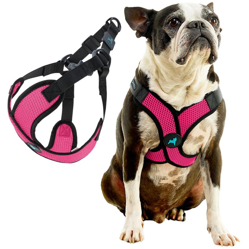 Comfort X Step (X-Large (22-28") / Flamingo Pink)