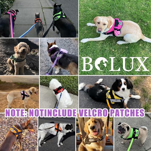Dog Harness No (X-Small (Pack of 1) / Lavender)