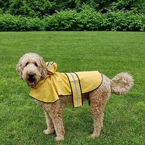 Rainy Days Slicker