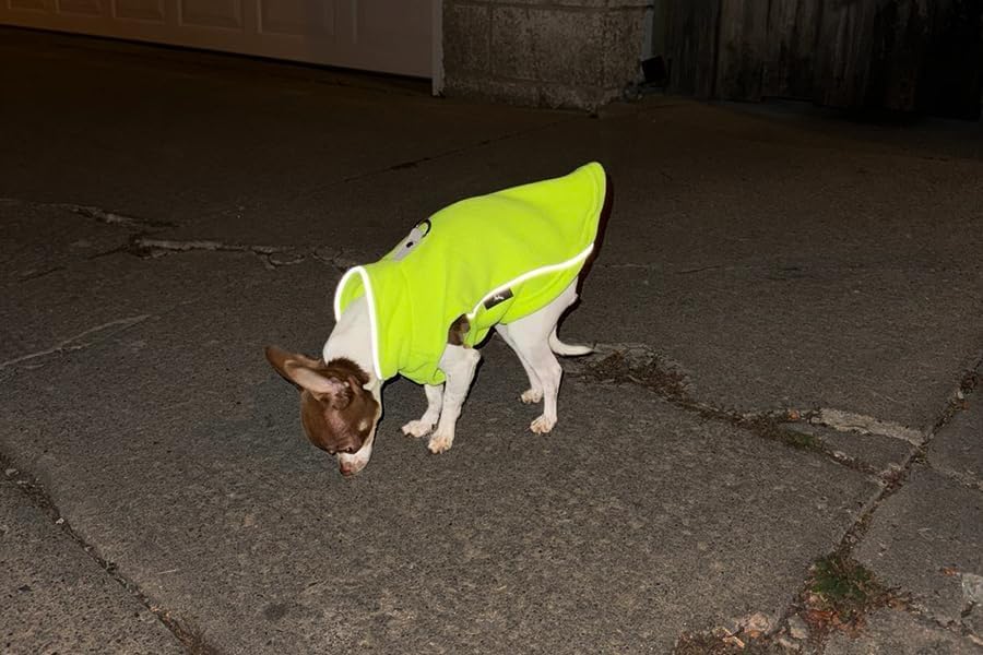 Fleece Vest Dog Sweater with Leash Ring (M (6-10lbs) / Neon Green)