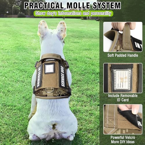 Tactical Dog Harness and Leash Set with 10 Patches for Medium Dogs (Medium / Desert Camo)
