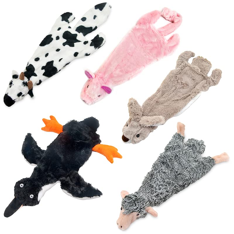 2-in-1 Stuffless Squeaky Dog Toy - Pack of 4, Large (Various Style-Color / Large)