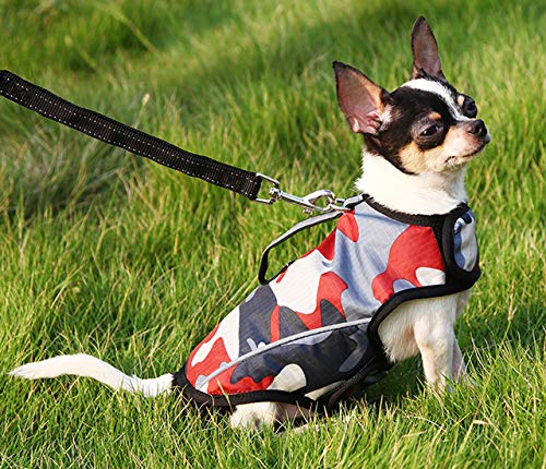 Dog Anxiety Jacket (XS)