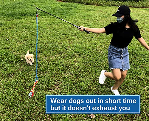 Interactive Flirt Pole Toy for Dogs Chase