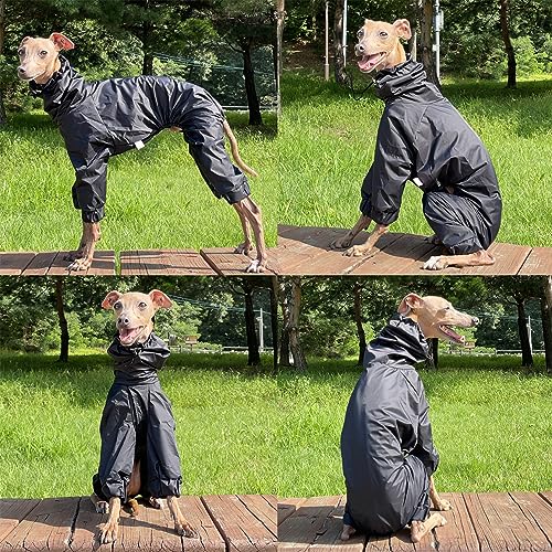 D Doggy Star Italian Greyhound Raincoat Waterproof Jacket Windbreaker Clothes Whippet for Dog (XL / Raincoat Black)