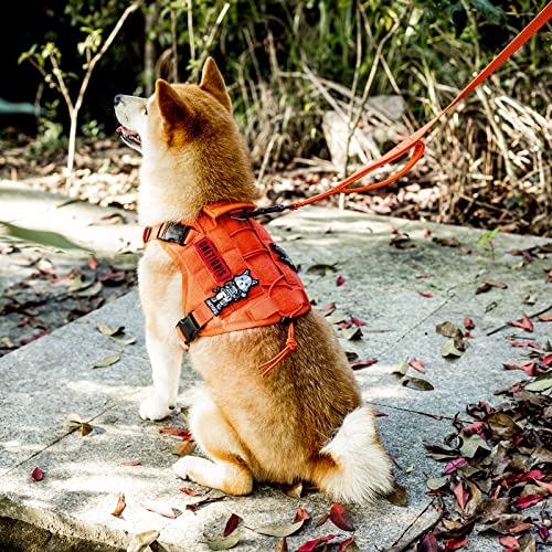 No Pull Dog Leash with Handle for Medium Large Dogs (Orange / 6FT)