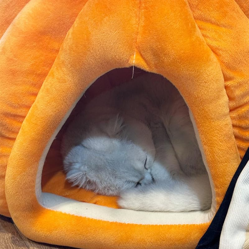 Cat Beds for Indoor Cats (Blue-01 / 18 in)