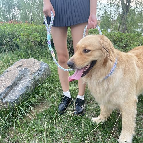 5FT Braided Cotton Rope Leash for Small (Rainbow Color)
