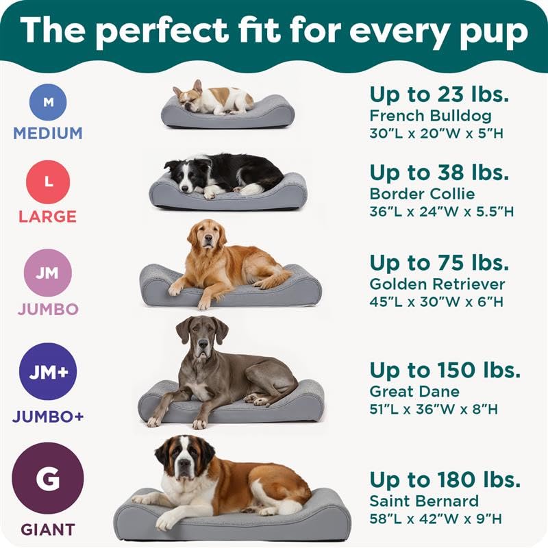 Orthopedic Dog Bed for Large Dogs (Giant/XXXL / Gray)