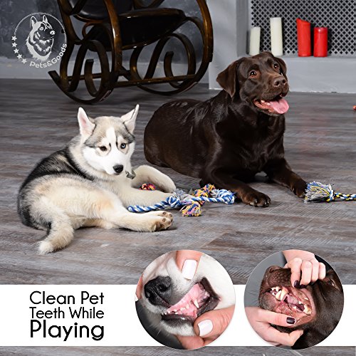 Dog Rope Chew Toys