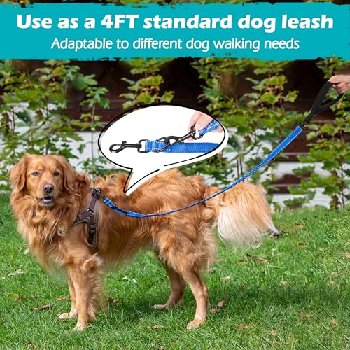 Two Point Control Dog Leash (Blue)