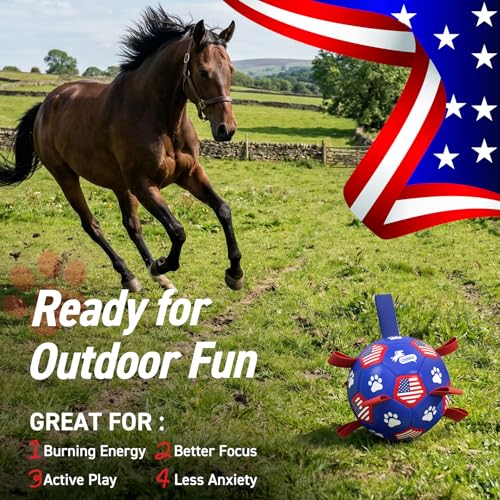 Dog Balls with Straps (Flag / 9 Inch)