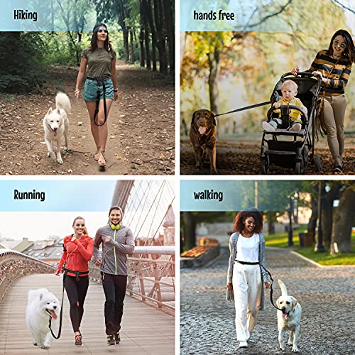 Hands Free Dog Leash & Lunge Set (Regular Dog System (Regular Belt (22"- 40" Waist)) / Bundle Leash + Lunge Buster)