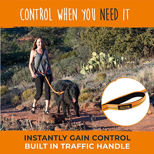 Hands Free Dog Leash (48" / Orange)