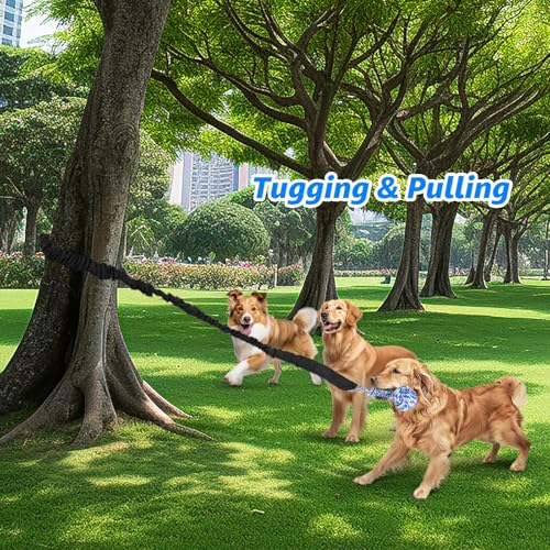 Outdoor Bungee Tug Toy (Blue+Orange)