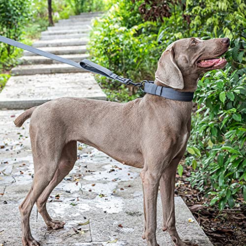 No Pull Dog Leash with Handle for Medium Large Dogs (Black / 6FT)