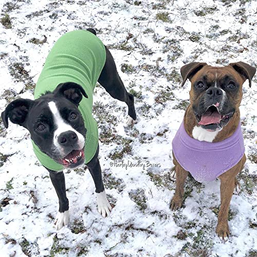 Stretch Fleece Vest Dog Sweater (4X-Large Length (22.5") / Grass Green)